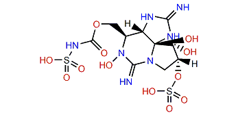 N-Sulfocarbamoylgonyautoxin 3